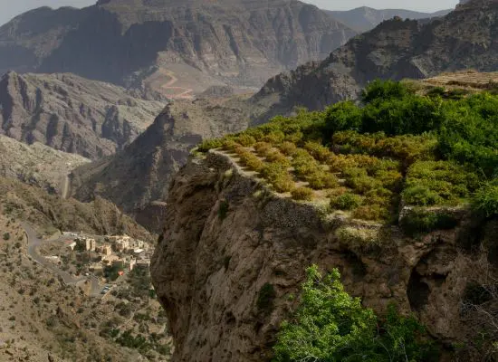 terrace farm oman